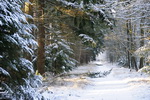 03. Winterlandschap_S